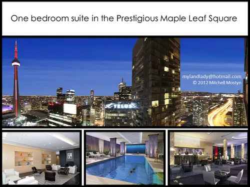 Modern furnished executive condo in Maple Leaf Square - Best location in Downtown Toronto, Bremner B...