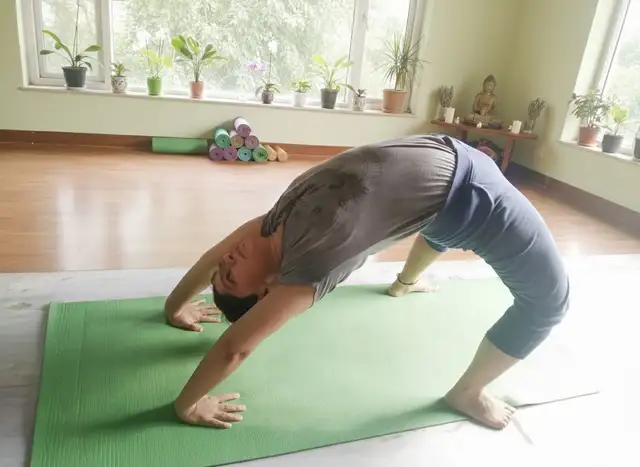 Yoga Classes for Beginners - Online and Offline65137378628866123