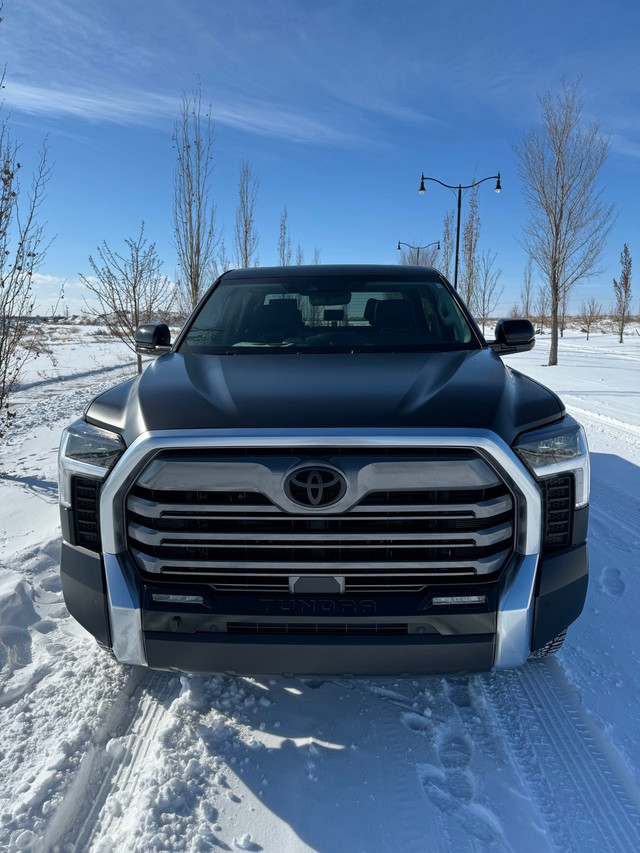 2023 Stealth Tundra Limited Crewmax in Cars & Trucks in Edmonton - Image 2