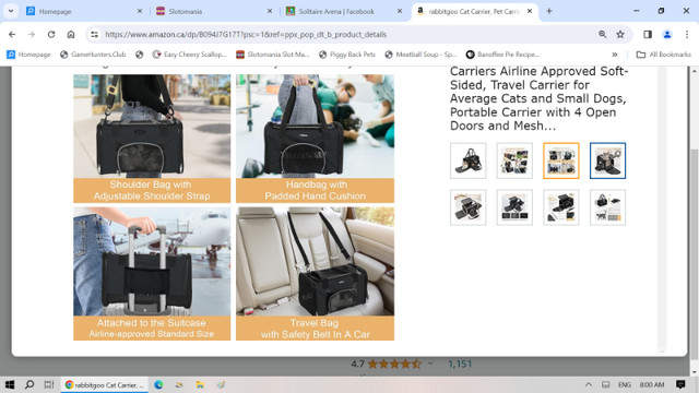 Small Pet Carrier in Accessories in Bridgewater - Image 2