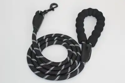 There is a brand new 5-foot dog leash in the warehouse., View more