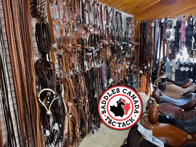 Western & English Saddles & Tack in Equestrian & Livestock Accessories in Regina - Image 5