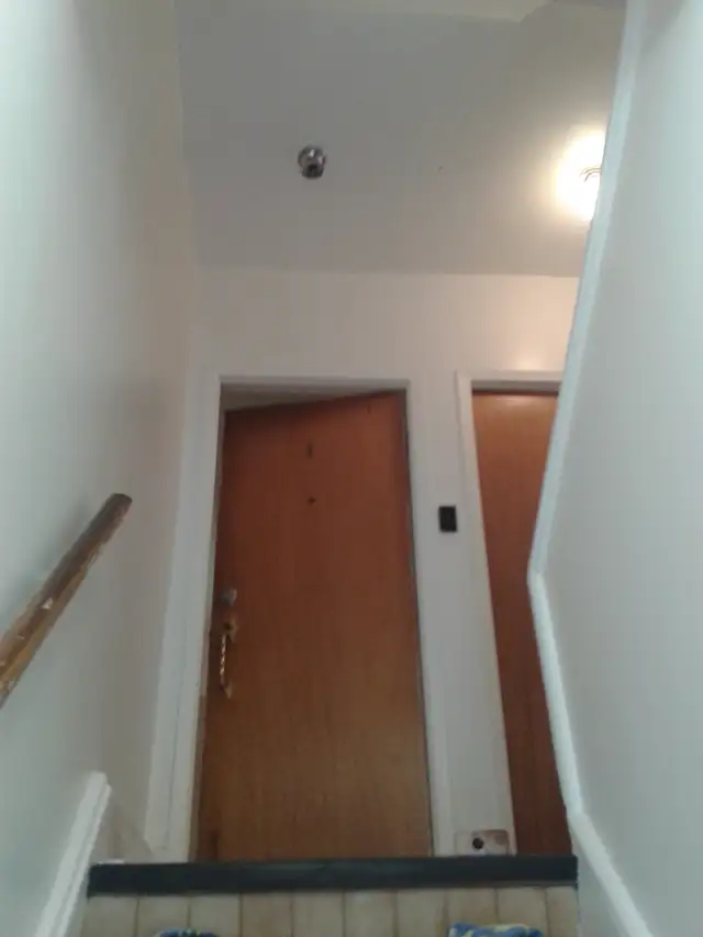 Painter and drywall joint taper.504926281495357442