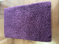 Area shag carpet 