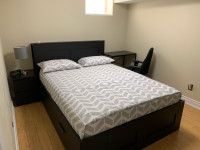 1 Bed, Furnished for 1 Male. No Parking. Brampton-Steeles/ Mavis