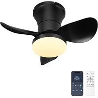 Ohniyou 21 inch Ceiling Fan with Lights and Remote