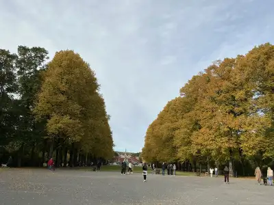 MALE,  PERSONAL SUPPORT WORKER , WELL EXPERIENCED, COMPLEX CARE , View more