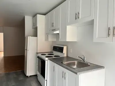 appartement libre des maintenant a rosemont