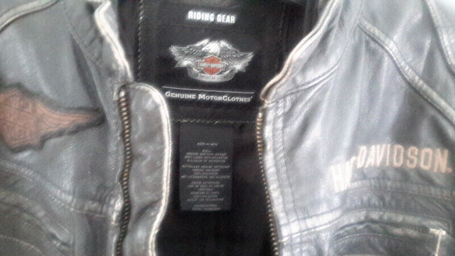 Jacket Harley-Davidson Cuir Épais Comme Neuf!!! Médium dans Hommes  à Ville de Montréal - Image 4