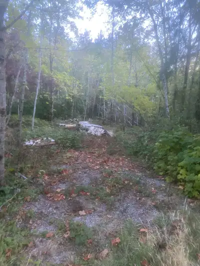 free pallets, View more
