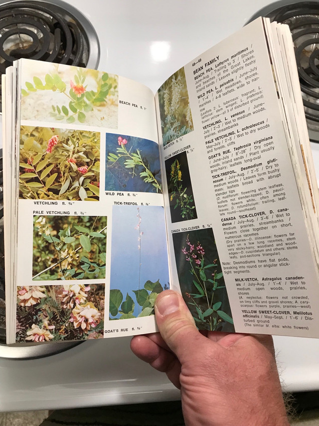 A Guide in Full Color - WILDFLOWERS and WEEDS Book .  in Textbooks in Sarnia - Image 3