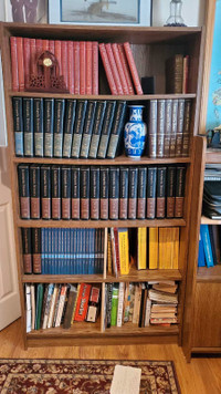 Bookcase with books