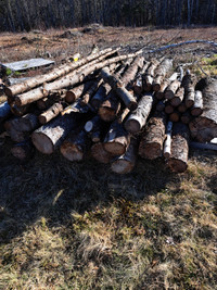 Fire Wood for sale