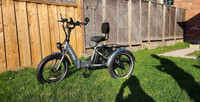 Electric XP Trike foldable with additional features