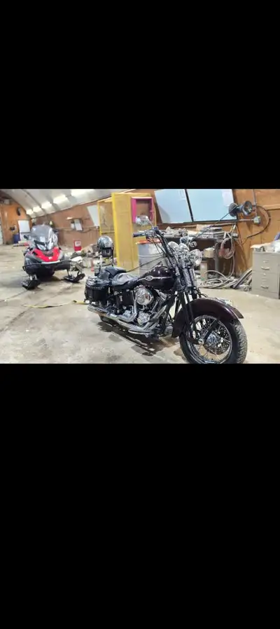 Hi I have a 05 Springer softail classic bike is beautiful runs great was my dad's he has passed been...