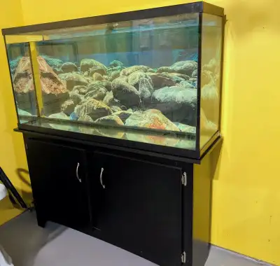 fish tank, View more