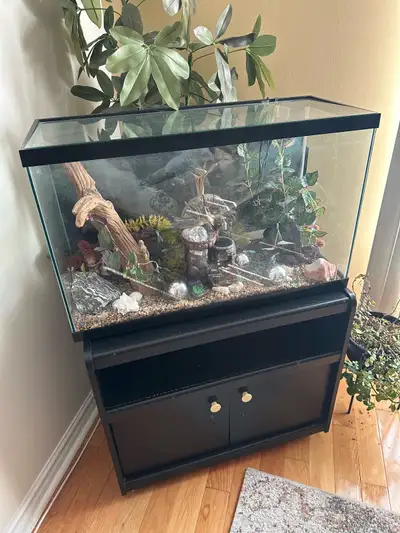 Fish Tank, View more
