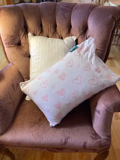 Toddlers  2 pack Crib Pillows  & Pillow Case - read description, View more