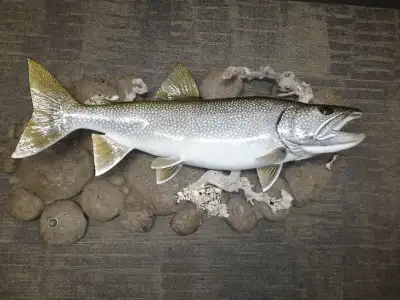 Fiberglass lake trout mounts replica