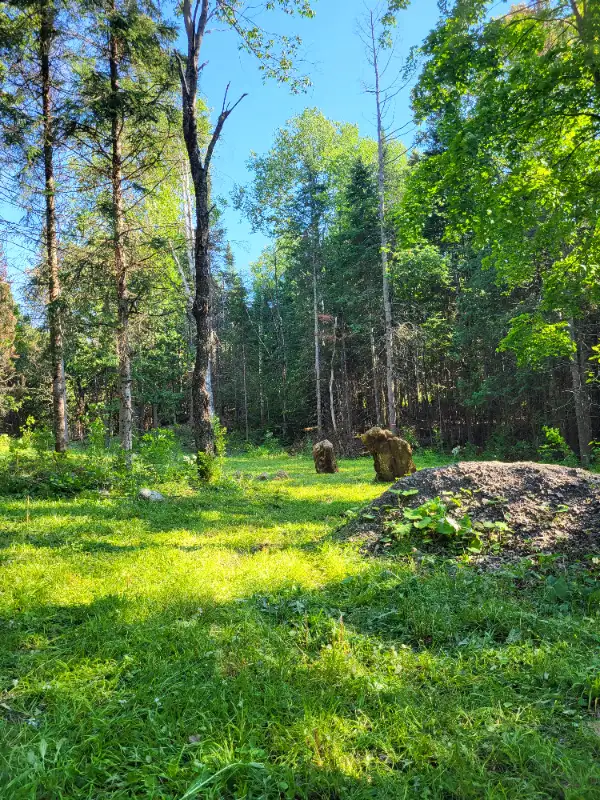 Land for sale Haliburton62863756865921121
