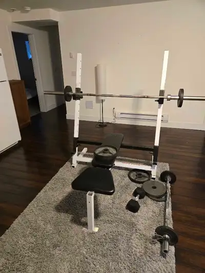 Free Weights and Bench, View more