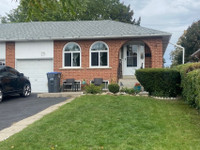 3 Bedroom Home For Rent in Brampton - 29 Mallard Crescent