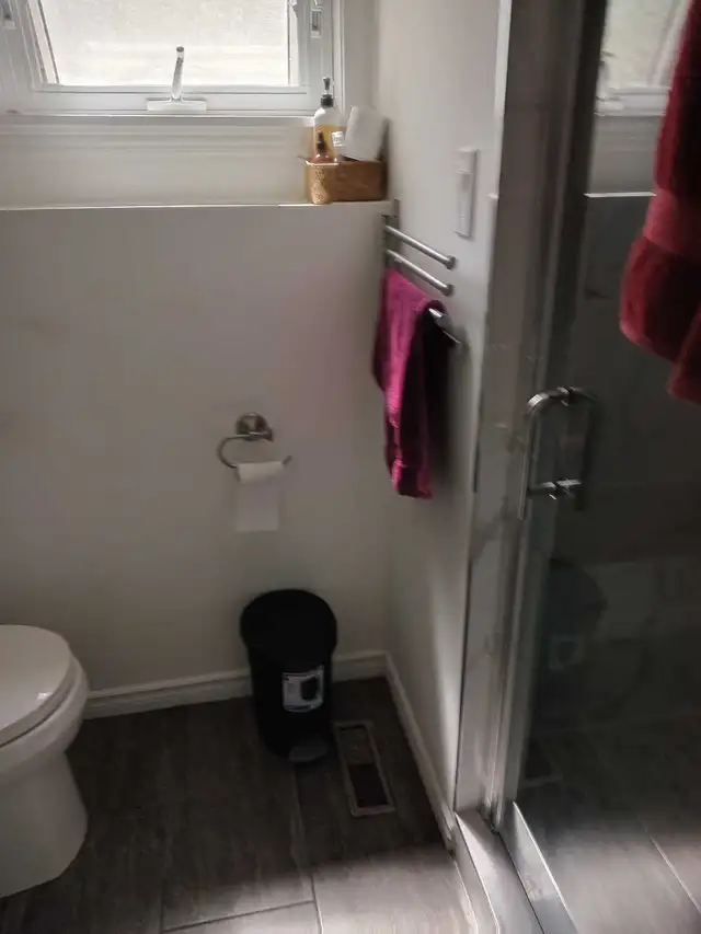 professional house cleaner 498581201592012802