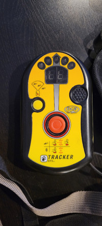 DTS Avalanche Transceiver