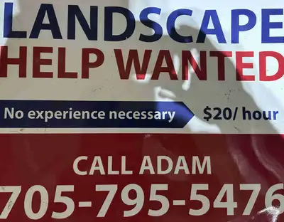 landscaping help needed, View more