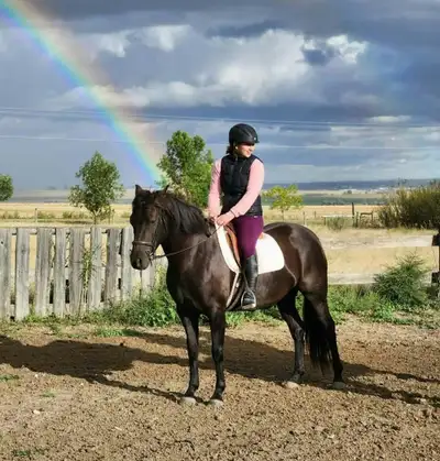 Sport Pony Mare, View more