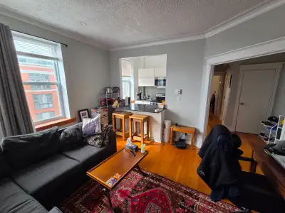 Great apartment on upper floor (4th), with lots of light. Available as of July 1st. 5 min walk to me...