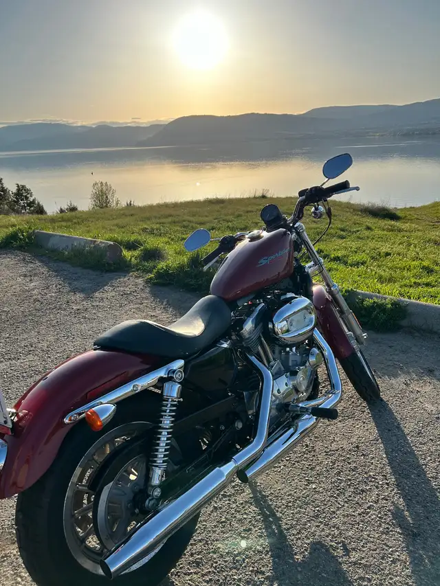 2007  Harley Davidson Sportster xl883 in Street, Cruisers & Choppers in Kelowna - Image 7