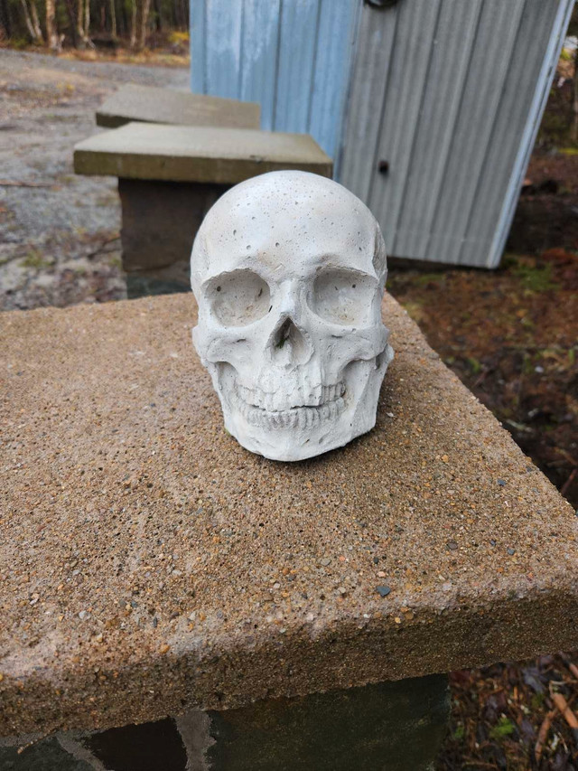 Concrete skull  in Arts & Collectibles in Yarmouth - Image 4