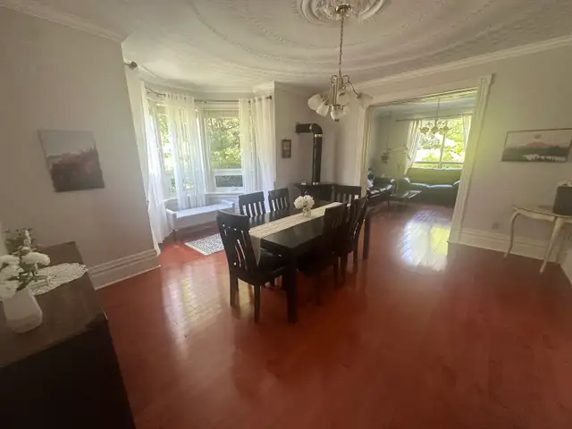 Cleaning Services $35/hr565170180636037122