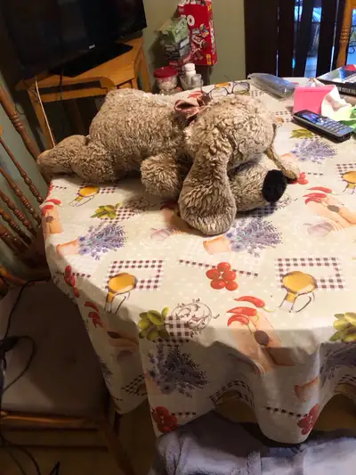 toutou chien 24 pouces de long, moelleux comme neuf, View more