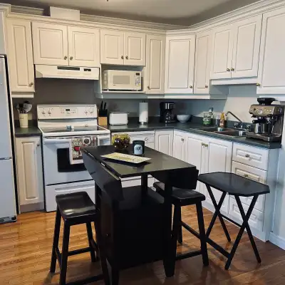 FURNISHED, DOWNTOWN ALL INCLUSIVE CONDO AVAILABLE FEB 1ST.