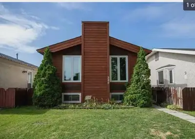 house for rent