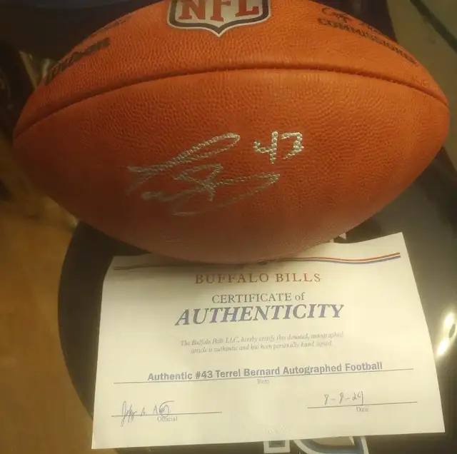 Bills Football Blue Jays Teo Spider Vlad Whitt Bobblehead in Arts & Collectibles in City of Toronto - Image 3