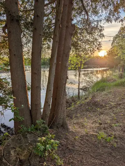 Water front property just outside kemptville. 25 min to Ottawa. Good fishing canoeing and kayaking....