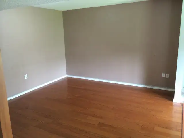 1 Bedroom Walkout Apartment  in Long Term Rentals in Mississauga / Peel Region - Image 10