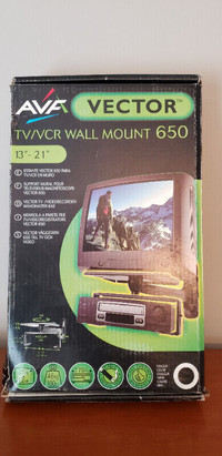 TV & Device Mount