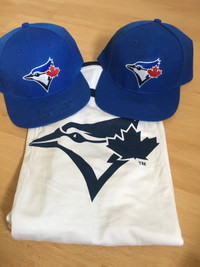 ***NEW*** Ryan Tepera and Liam Hendriks signed Blue Jays hats