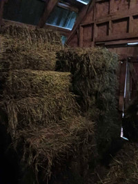 100 Small Square HAY Bales for Sale