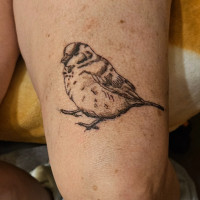 Small tattoos from professionally trained artist