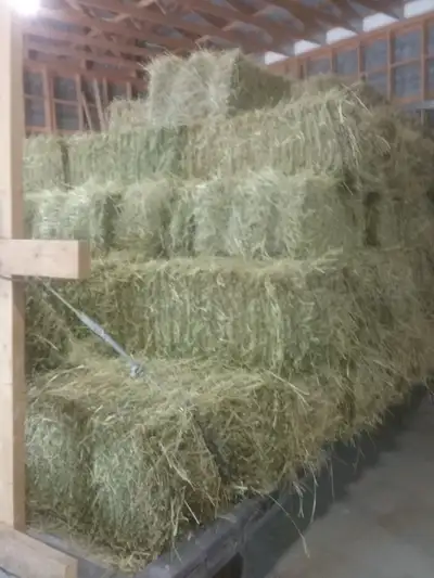 1st cut hay small squares, View more