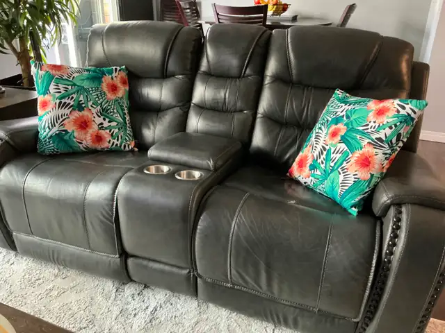 Leather Loveseats