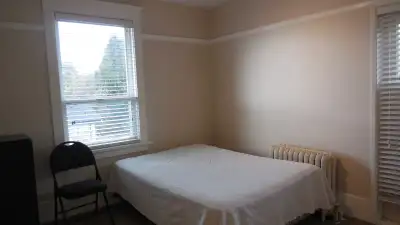 Cozy, quiet Studio in Fairfield between Cook and Linden. Partially furnished Utilities included No s...
