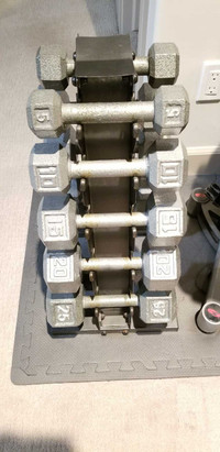 Dumbbell weights 5-25lbs with stand