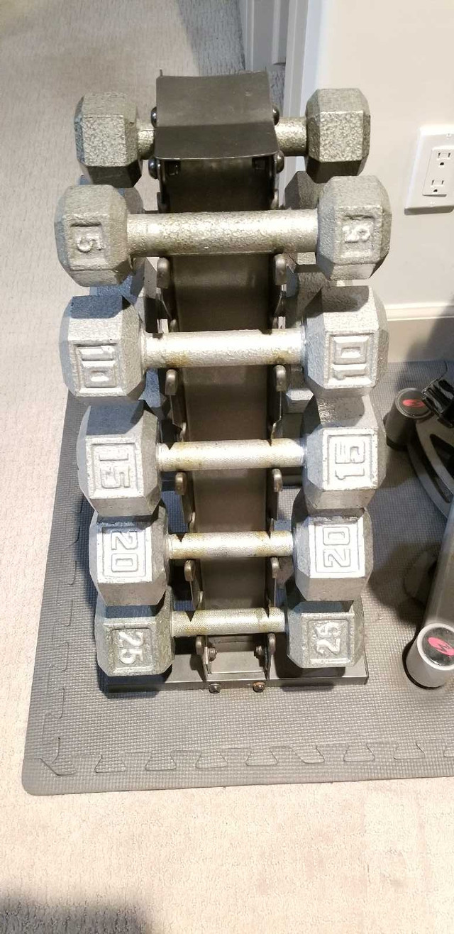 Dumbbell weights 5-25lbs with stand dans Appareils d'exercice domestique  à Ville d’Edmonton