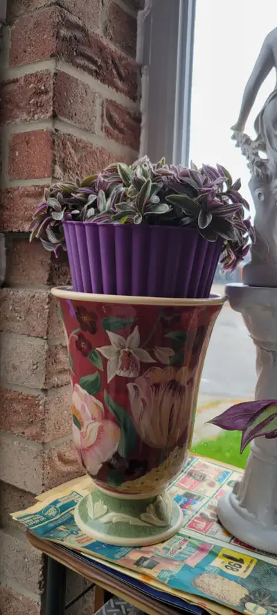 INDOOR PLANTS EACH $5, $10-VERY HEALTHY AND BEAUTIFUL With Plant, View more